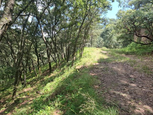 Venta de Terreno en Fracc. Campestre lt. 57,MZ 6, Villa del Carb?n