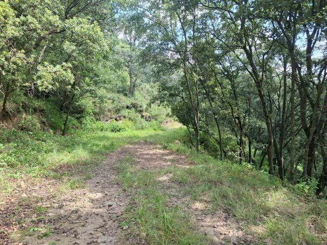 Venta de Terreno en Fracc. Campestre lt. 57,MZ 6, Villa del Carb?n