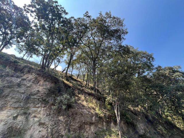 VENTA DE TERRENO EN FRACC. CAMPESTRE LT. 57 MZ 11, VILLA DEL CARB?N