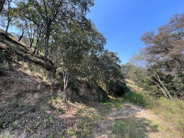 VENTA DE TERRENO EN FRACC. CAMPESTRE LT. 57 MZ 11, VILLA DEL CARB?N
