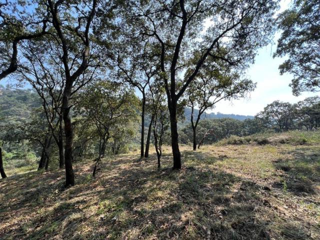 VENTA DE TERRENO EN FRACC. CAMPESTRE LT. 83 MZ 11, VILLA DEL CARB?N