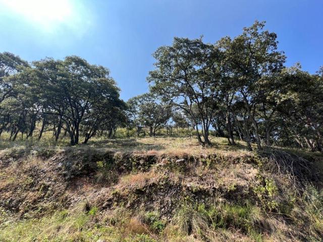 VENTA DE TERRENO EN FRACC. CAMPESTRE LT. 83 MZ 11, VILLA DEL CARB?N