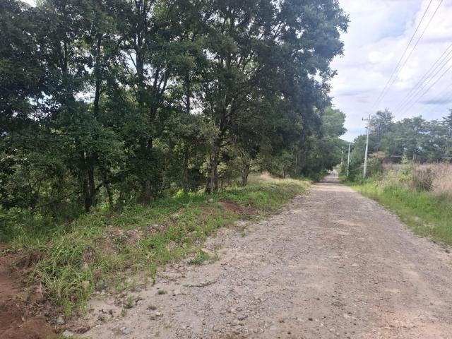 Venta de Terreno en Fracc. Campestre, LT. 145, MZ. 6, Villa del Carb?n