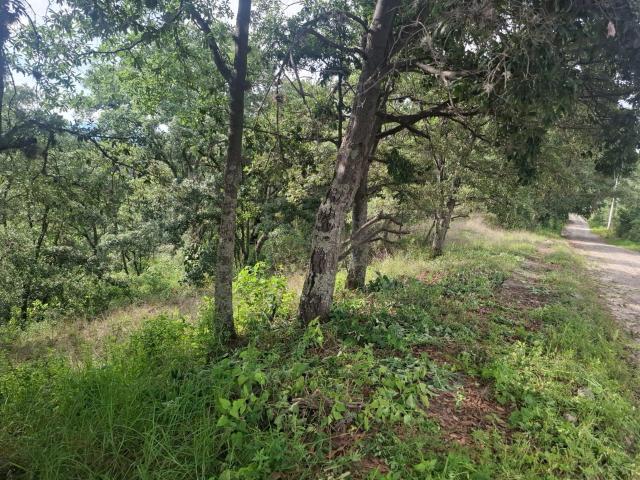 Venta de Terreno en Fracc. Campestre, LT. 145, MZ. 6, Villa del Carb?n