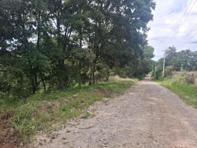 Venta de Terreno en Fracc. Campestre, LT. 145, MZ. 6, Villa del Carbón