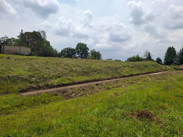 Venta de Terreno en Fracc. Campestre, LT. 35, MZ. 19, Villa del Carb?n