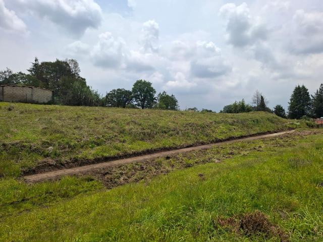 Venta de Terreno en Fracc. Campestre, LT. 35, MZ. 19, Villa del Carb?n