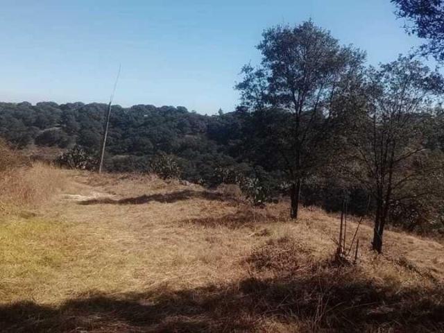 VENTA DE TERRENO EN FRACC. RESID. CAMPESTRE LT 110, MZ 11, DE VILLA DEL CARB?N