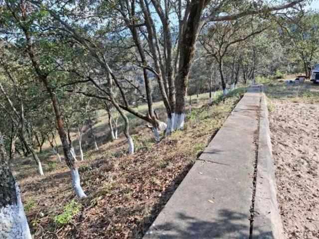 Venta de terreno en Fracc. Residencial Campestre Lt. 20 Mza. XI, Villa del Carbó