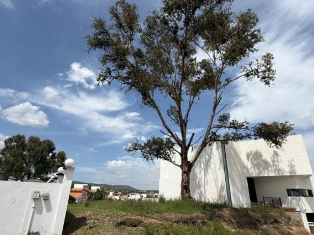 VENTA DE TERRENO EN HARAS DEL BOSQUE