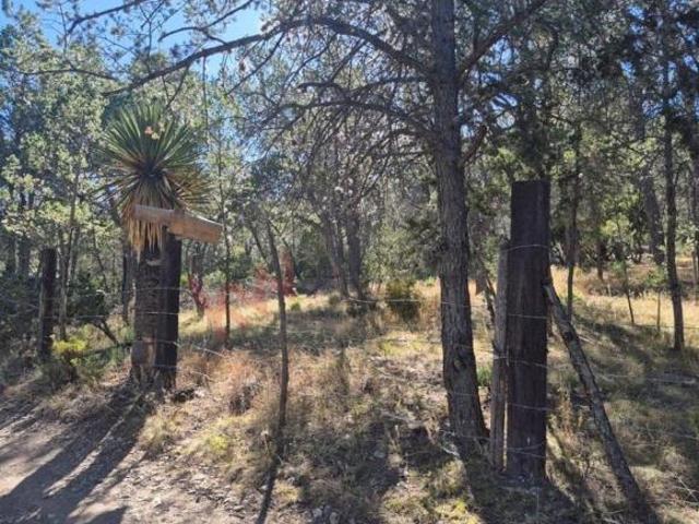 Venta de Terreno en Jame, Arteaga, Coahuila