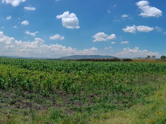 VENTA DE TERRENO EN JILOTEPEC ESTADO DE MÉXICO