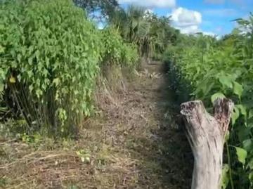 VENTA DE TERRENO EN KANTUNILK?N ? OPORTUNIDAD DE INVERSI?N