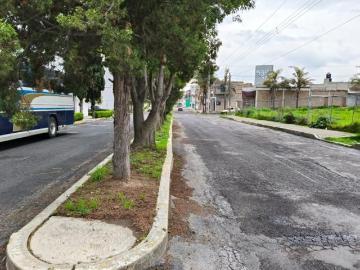 VENTA DE TERRENO EN LA COLONIA EL CARMEN APIZACO TLAXCALA