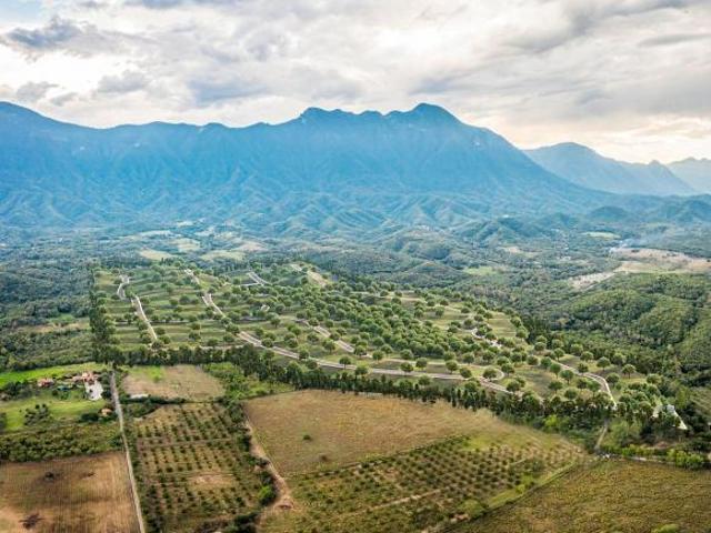 VENTA DE TERRENO EN LA SEPARA DE LA COMUNIDAD, PUENTE LAZARILLOS, ALLENDE,NUEVO LEON