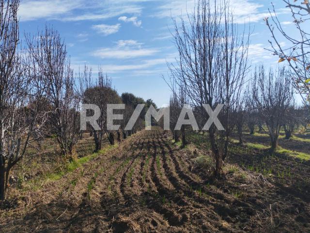 VENTA DE TERRENO EN LAS FALDAS DEL IZTACCIHUATL