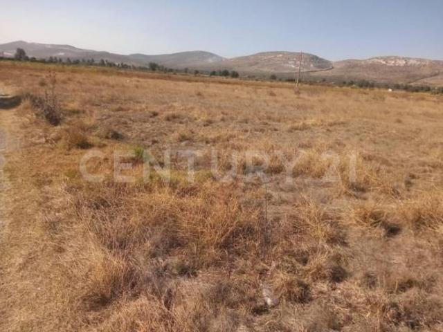 VENTA DE TERRENO EN PUEBLA, TEPEACA.