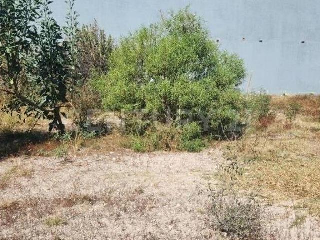 VENTA DE TERRENO EN PUEBLA AMOZOC HARAS CIUDAD ECOLÓGICA