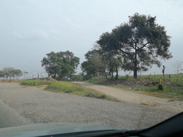 VENTA DE TERRENO EN PALO GACHO