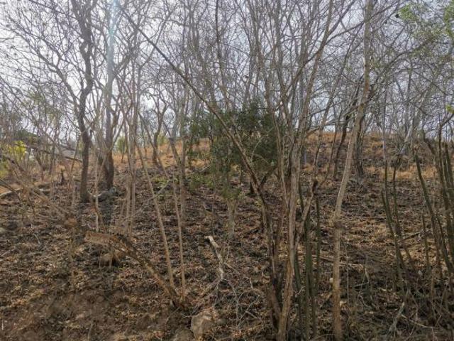 Venta de terreno en playa Mojon camino principal cerca de la playa