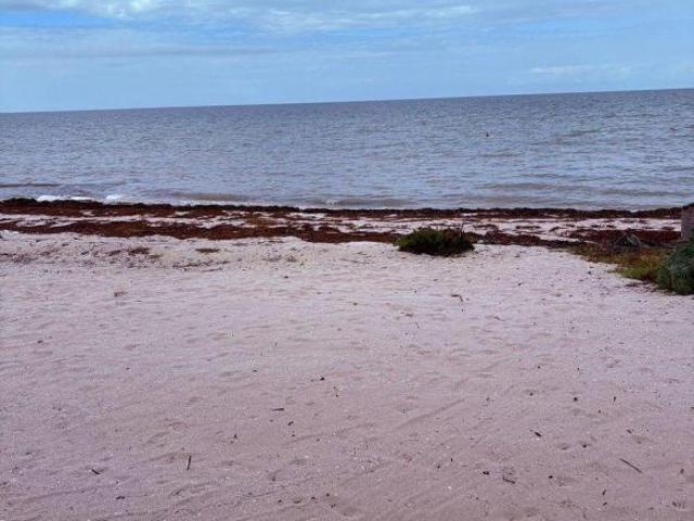 OPORTUNIDAD!VENTA DE TERRENO EN PLAYA DE SAN BENITO EN YUCATAN