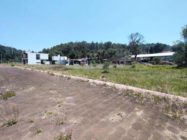 VENTA DE TERRENO EN PONTEZUELAS, MPIO. DE CHARO