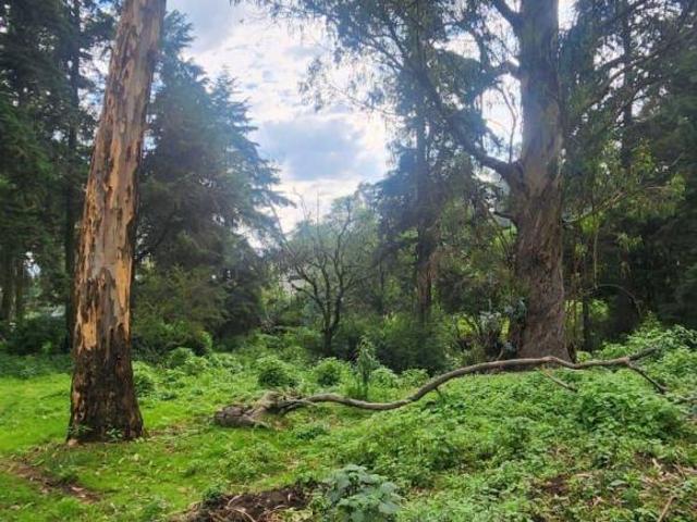 VENTA DE TERRENO EN POPO PARK, AMECAMECA