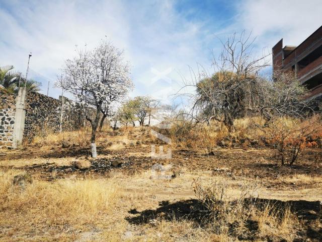 Venta de Terreno en Praderas de Oaxtepec