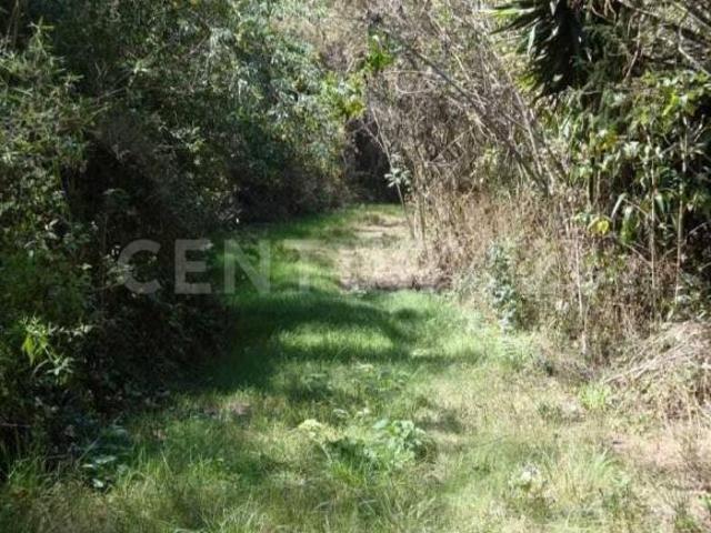 Venta de Terreno en Rancho Tonatico