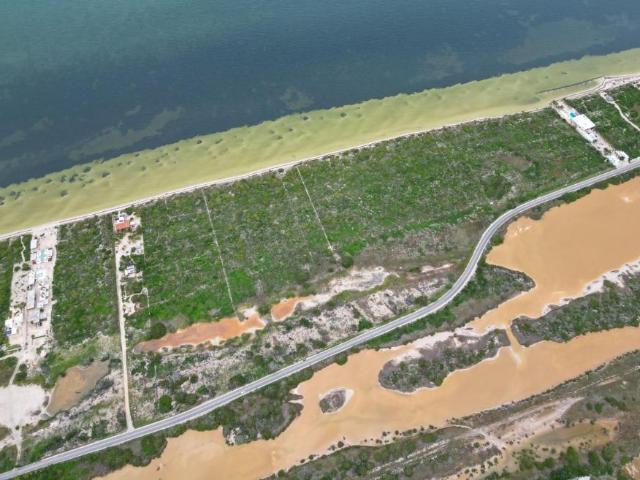 VENTA DE TERRENO EN SAN CRISANTO, YUCAT?N