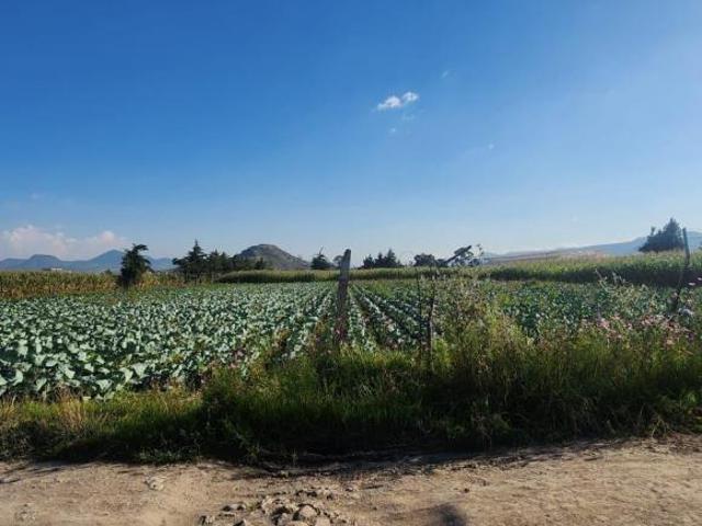 VENTA DE TERRENO EN SAN GREGORIO CUAUTZINGO, CHALCO EDO DE MÉXICO