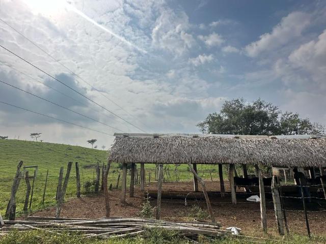 VENTA DE TERRENO EN SAN JUAN BAUTISTA OAXACA