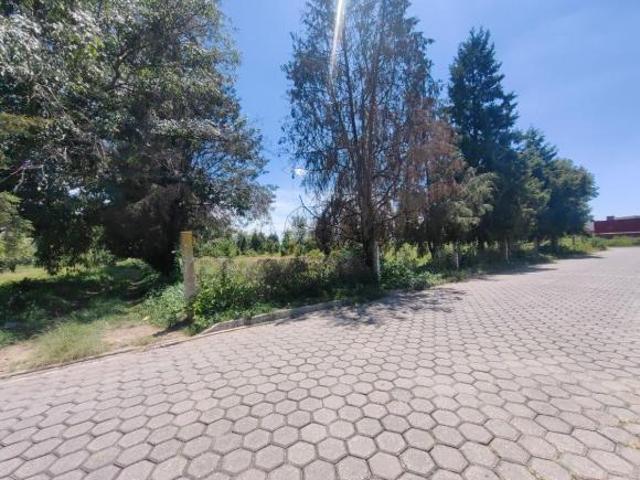 VENTA DE TERRENO EN SAN JUAN CUAUTLANCINGO