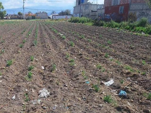 VENTA DE TERRENO EN SAN LUCAS SAN MATEO ATENCO