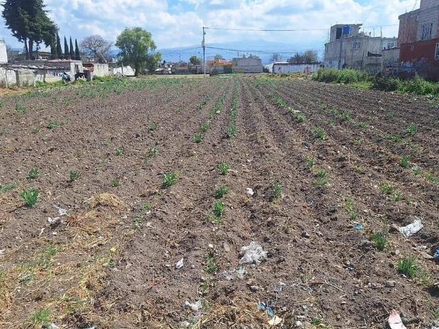 VENTA DE TERRENO EN SAN LUCAS SAN MATEO ATENCO