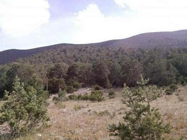 Venta de terreno en Santa Anita Galeana, N.L