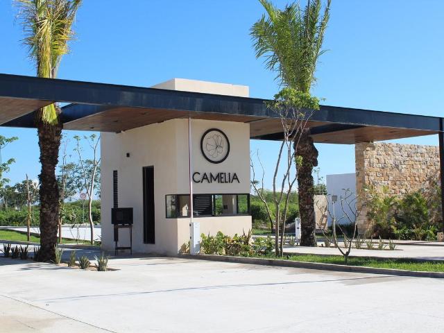 VENTA DE TERRENO EN SITPACH, M?RIDA