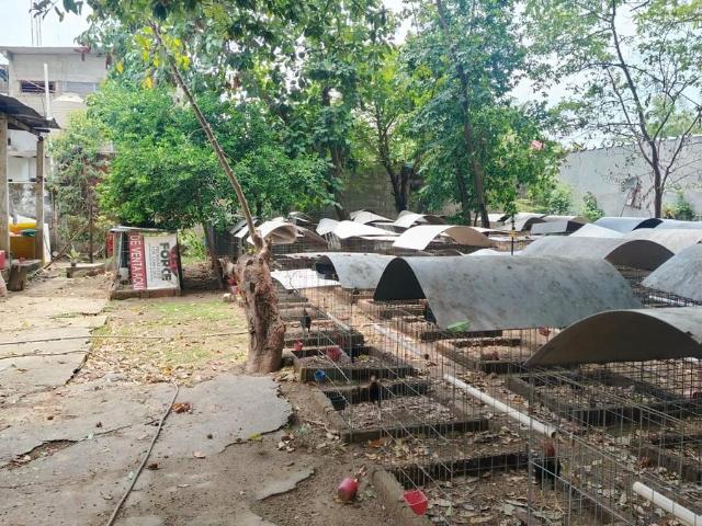 Venta de terreno en tuxtepec oaxaca