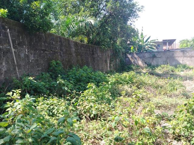 Venta De Terreno En Tuxtepec Oaxaca