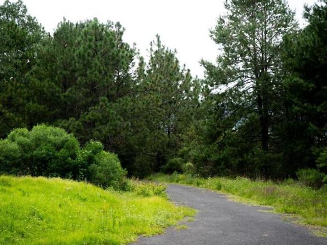 VENTA DE TERRENO EN TAPALPA SIERRA LAGO
