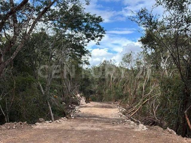 Venta de Terreno en Tekom, Tekom, Yucatán