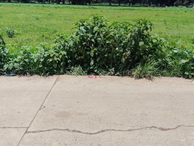 Venta de Terreno en Teotihuacán