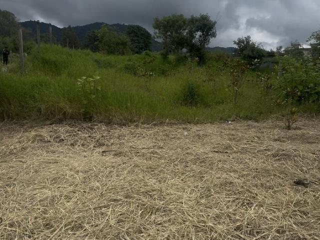 VENTA DE TERRENO EN TENANGO DE LAS FLORES, PUEBLA