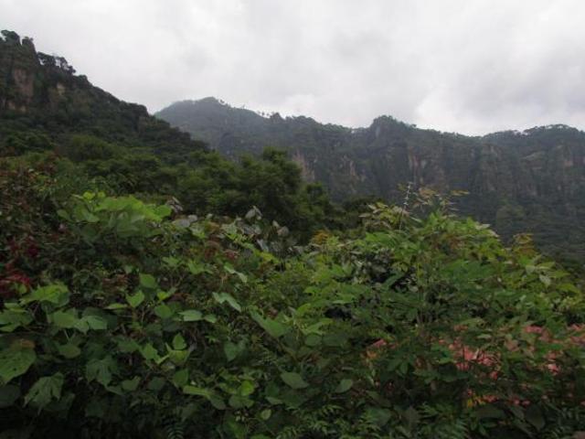VENTA DE TERRENO EN TEPOZTLÀN