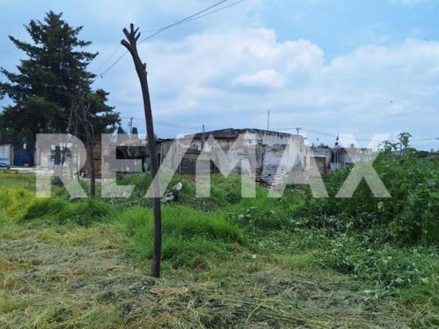 VENTA DE TERRENO EN TEXCOCO DE MORA ESTADO DE MEXICO. 4
