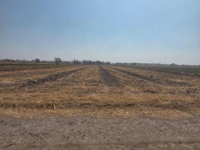 Venta de terreno en Tonanitla