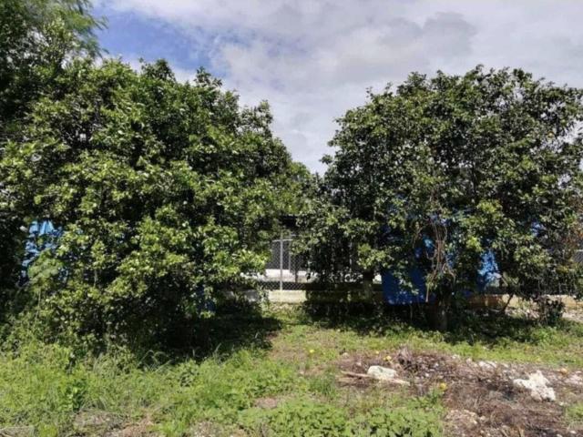 Venta de Terreno en Um?n Yucat?n