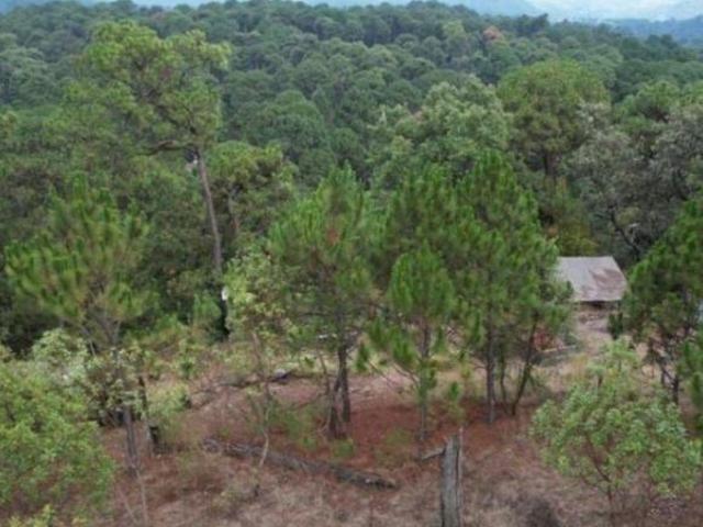 VENTA DE TERRENO EN VALLE DE BRAVO