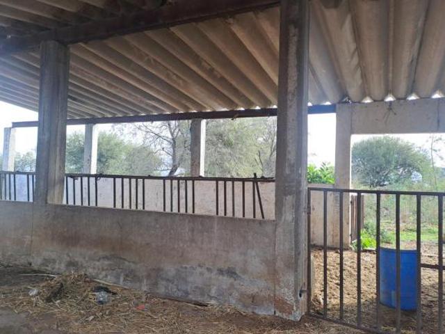 Venta de Terreno en Zapotlanejo