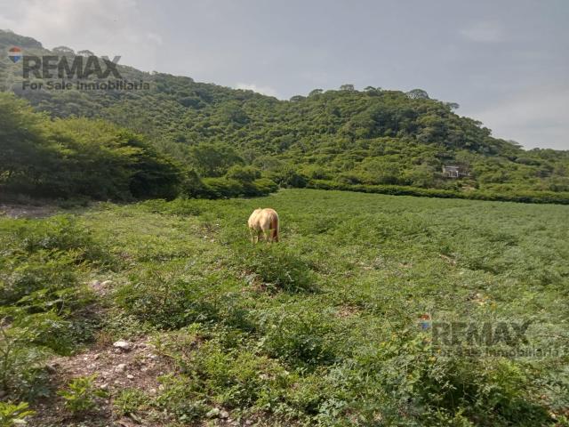 Venta de terreno escriturado, Tucum?n, Tlaltizap?n, Morelos?Clave 5843